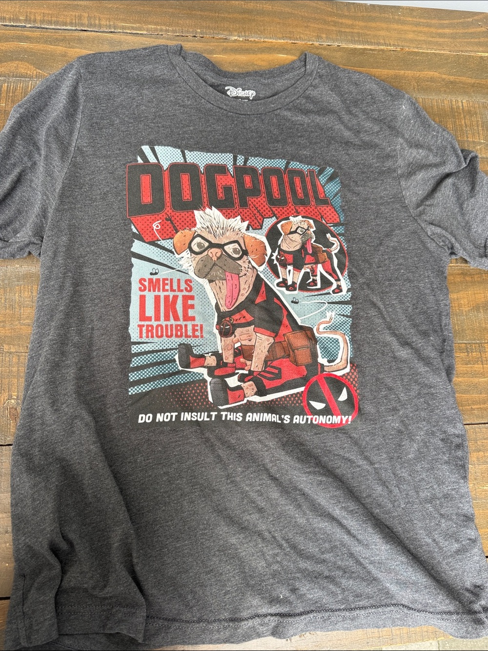 Disney Dogpool Graphic Tee - Charcoal Gray with Red Accents